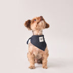 Denim Bandana