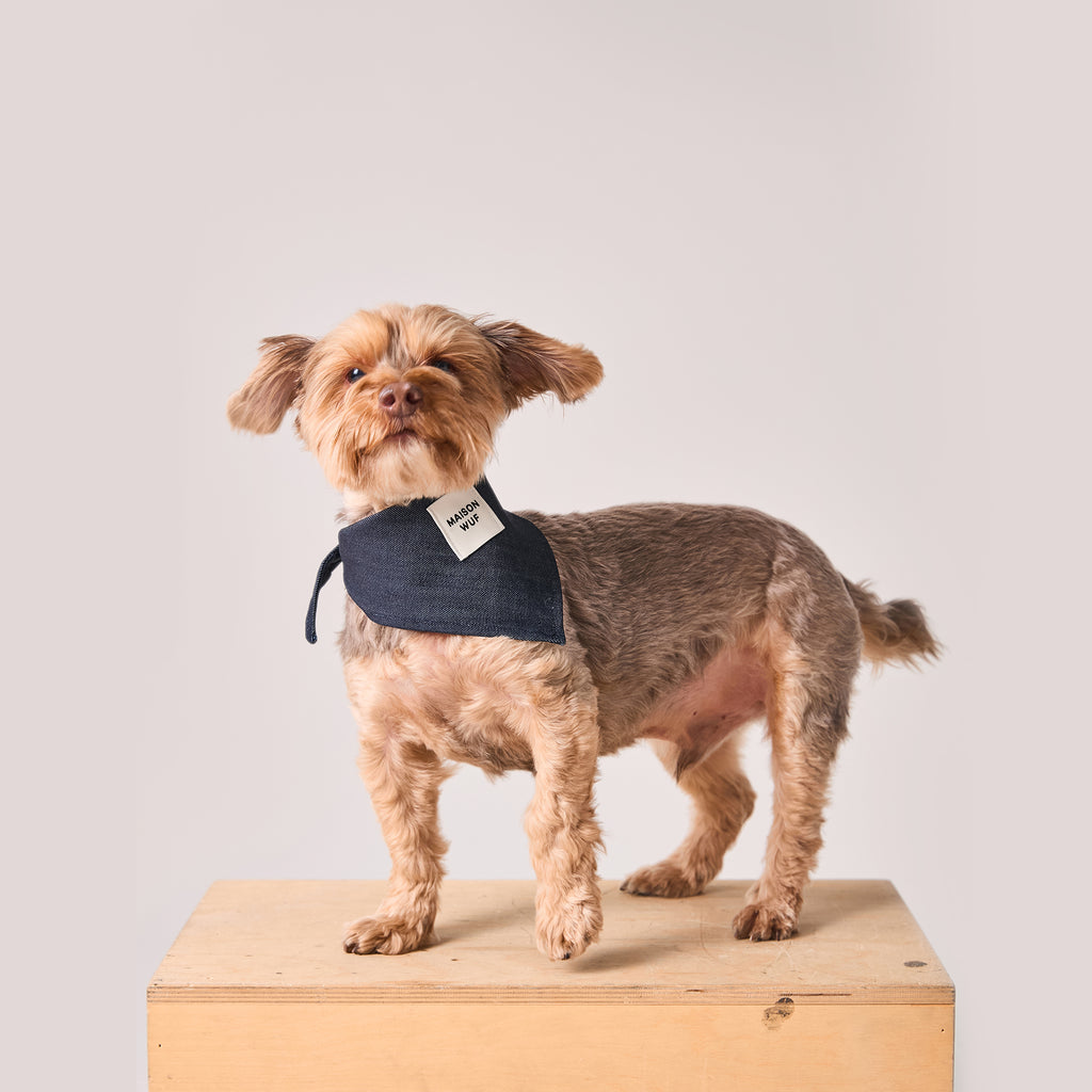 Denim Bandana