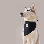 Denim Bandana