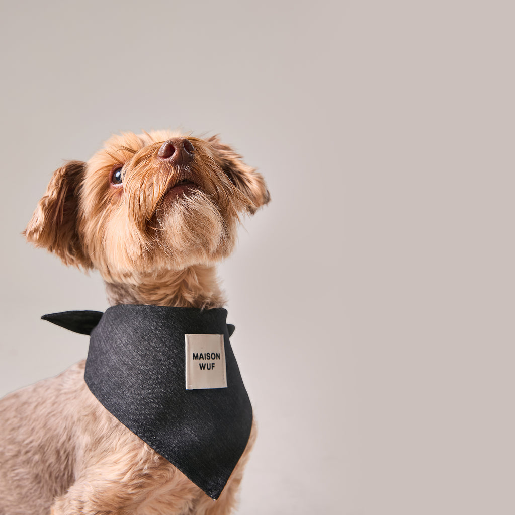 Denim Bandana