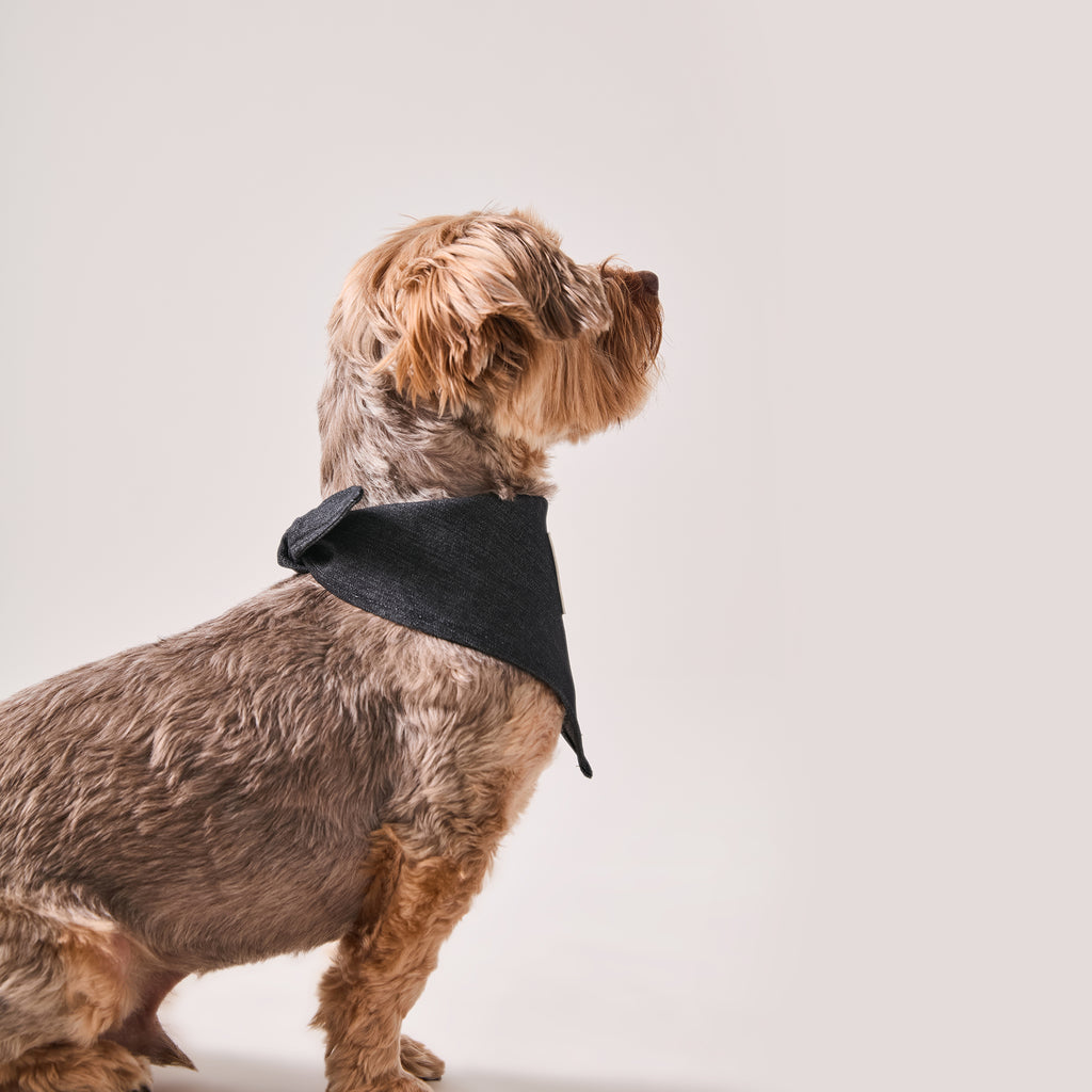 Denim Bandana